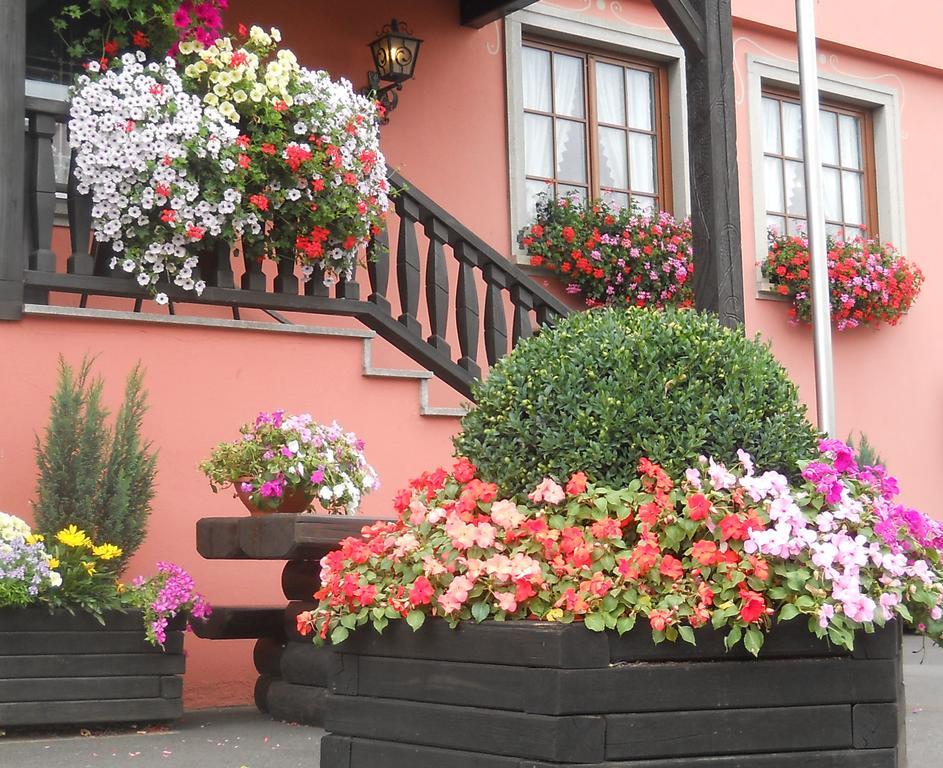 Hotel Schwarzes Ross Schwarzach am Main Zewnętrze zdjęcie