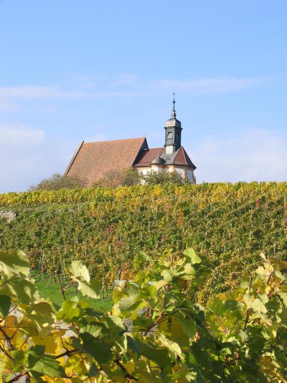 Hotel Schwarzes Ross Schwarzach am Main Zewnętrze zdjęcie
